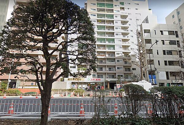 ザ・タワー小石川（THE TOWER KOISHIKAWA） 209｜東京都文京区小石川１丁目(賃貸マンション2LDK・2階・52.12㎡)の写真 その18