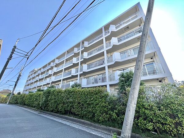 アイレックスプラザ ｜大阪府八尾市東山本町4丁目(賃貸マンション3LDK・5階・65.78㎡)の写真 その1