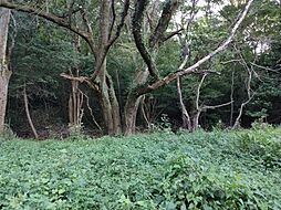 物件画像 池土地B区画