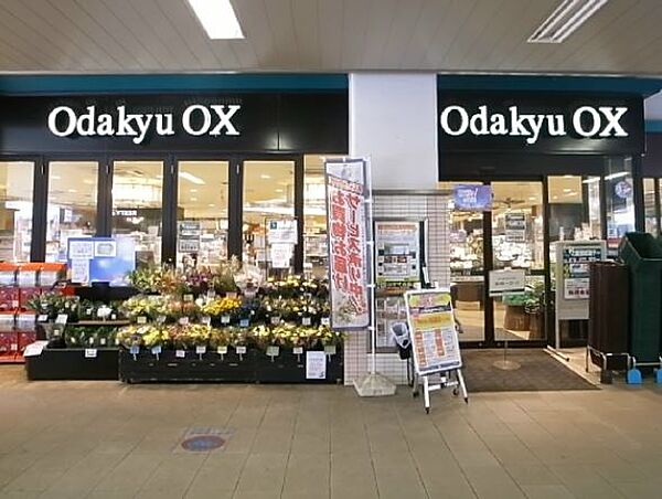 画像19:Odakyu OX（オダキュウ オーエックス） 梅ヶ丘店（481m）