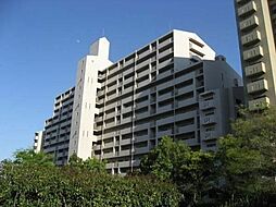 物件画像 コープ野村新安城E棟「リノベ×敷地内駐車場有×ペット可」