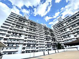 物件画像 ロイヤルコート半田弐番館「リノベ×ペット飼育可」