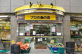 レジディア神田東  ｜ 東京都千代田区岩本町1丁目2-1（賃貸マンション1LDK・11階・45.61㎡） その19