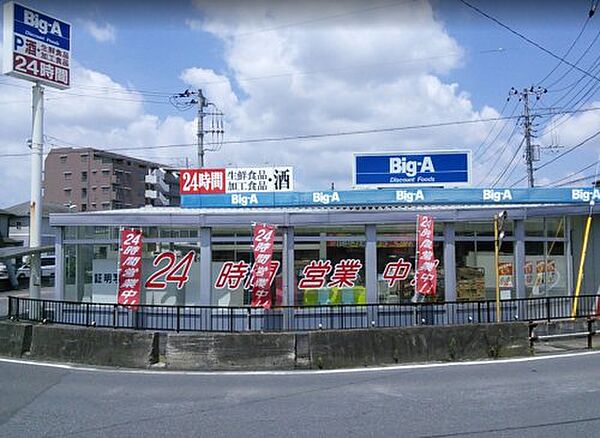 画像24:【スーパー】ビッグ・エー　八千代大和田店まで261ｍ
