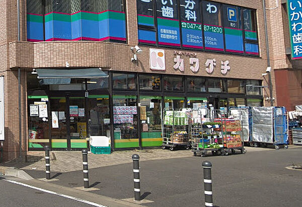 画像22:【スーパー】カワグチ　大和田店まで293ｍ