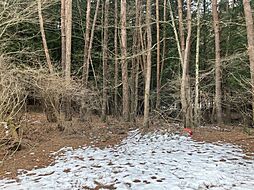 物件画像 売土地　忍野村忍草平山