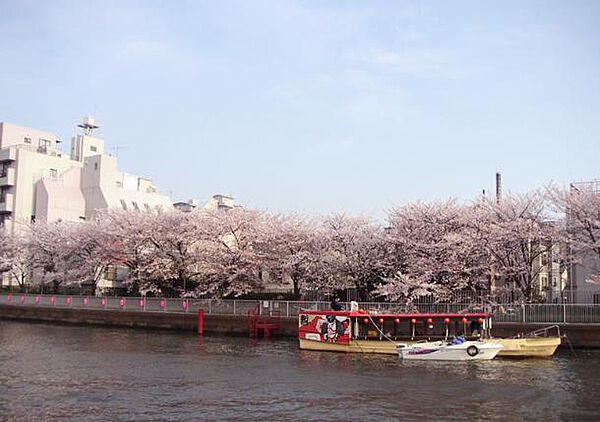 インプルーブ清澄白河 ｜東京都江東区三好2丁目(賃貸マンション1K・6階・27.50㎡)の写真 その26