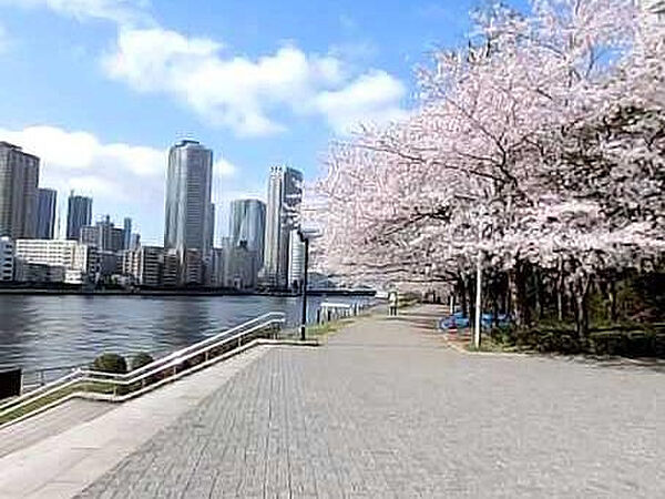 ラフィネ築地 ｜東京都中央区明石町(賃貸マンション1K・2階・30.67㎡)の写真 その25