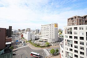 広島県広島市中区宝町（賃貸マンション1LDK・9階・41.01㎡） その16