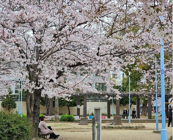 仮称)東成区東小橋2丁目PJ 801｜大阪府大阪市東成区東小橋2丁目(賃貸マンション1LDK・8階・46.77㎡)の写真 その16