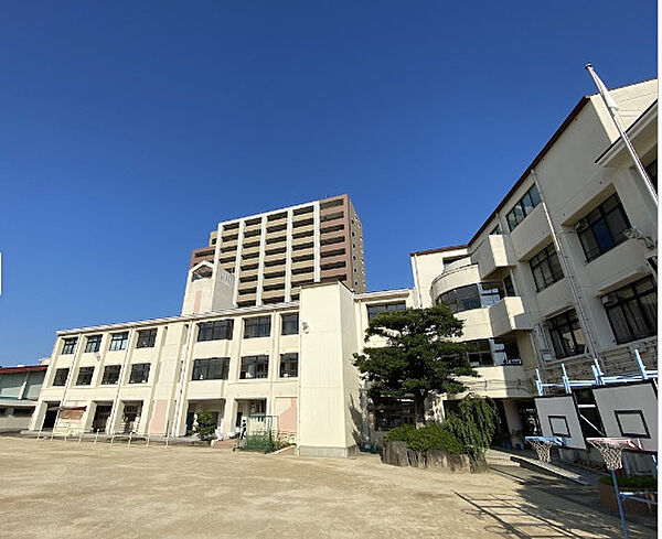 画像20:【小学校】大阪市立中道小学校まで220ｍ