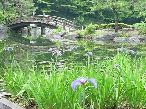 画像22:栃木県中央公園（406m）