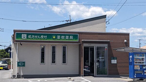 薬樹薬局 鶴田店（189m）