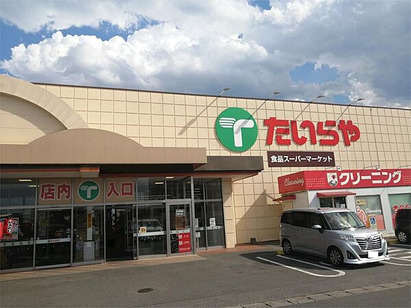 画像17:たいらや 若草店（551m）