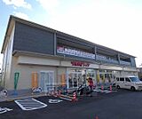 ツルハドラッグ　伏見直違橋店まで1205m 営業時間