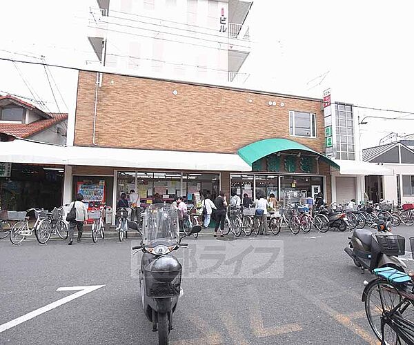 画像21:新鮮市場丸の内まで677m 淀駅近くの地元スーパー。近くには京都競馬場がございます。
