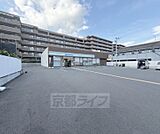 ファミリーマート 渋谷街道音羽店まで351m