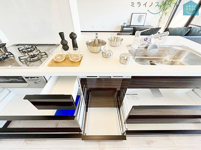 キッチン 三河安城小学校ライオンズガーデン三河安城第3 3階/-