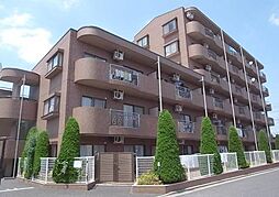 サンプレイス早宮 104