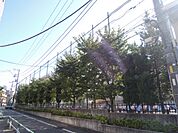 私立城西大学附属城西中学校 825m