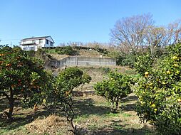 物件画像 伊豆高原事業用用地