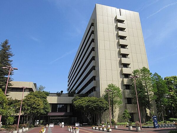画像5:姫路市役所（159m）