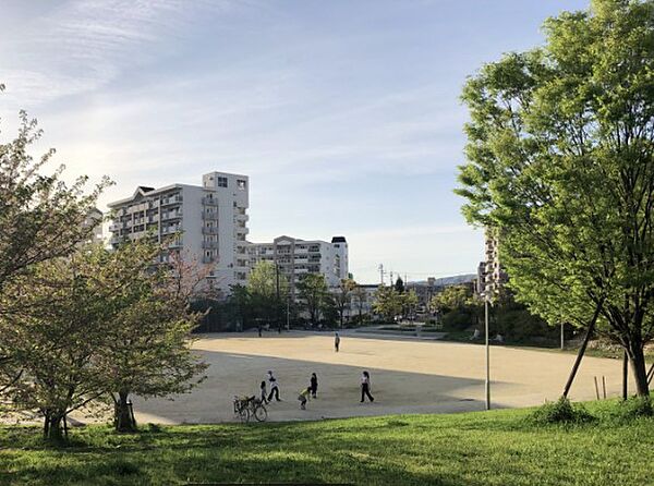 画像15:熊野田公園（1917m）