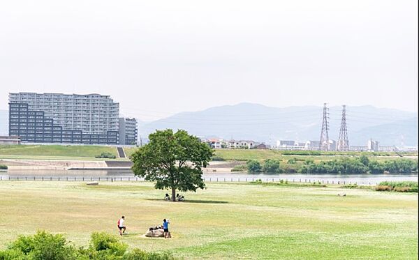 画像26:淀川河川公園（3065m）