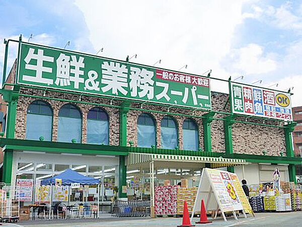 大阪府豊中市螢池中町４丁目(賃貸アパート1LDK・3階・30.99㎡)の写真 その3