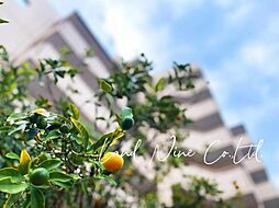 物件画像 中銀川口マンシオン