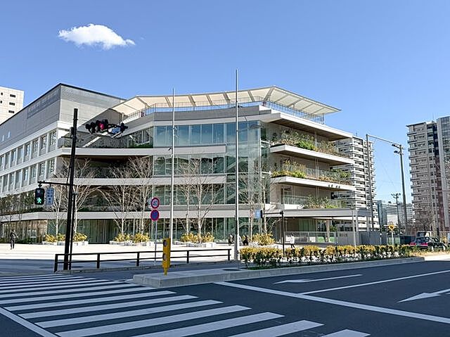 周辺 HARUMI FLAG PARK VILLAGE T棟 46階/-