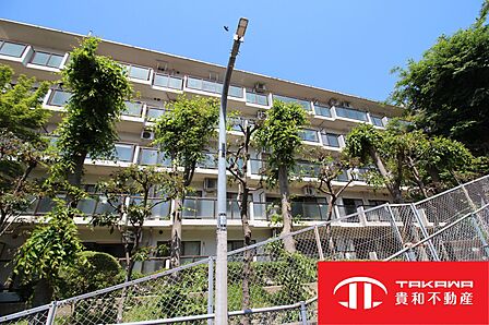 南西向きで日当りのとてもいい物件です