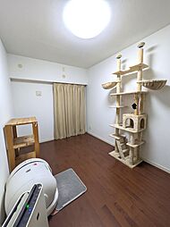 洋室の画像