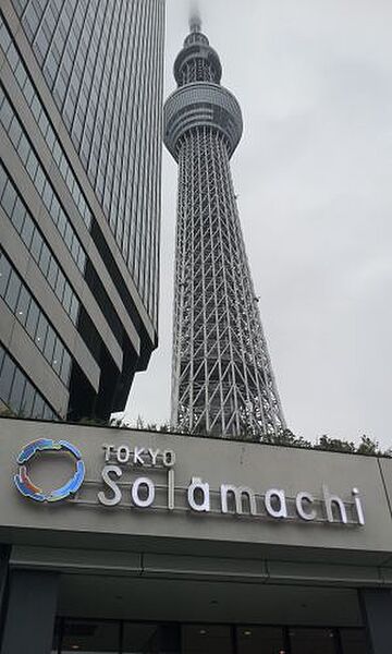 グラウンデュークス本所 ｜東京都墨田区本所4丁目(賃貸マンション1K・7階・25.90㎡)の写真 その21