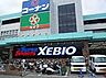 周辺：【その他】スーパースポーツゼビオ 東大阪菱江店まで610ｍ