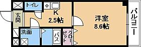 MNK-5  ｜ 滋賀県草津市野路1丁目（賃貸マンション1K・8階・26.70㎡） その2