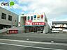 周辺：スギ薬局井田店 715m