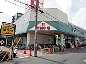 新鮮市場 1731m