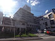 藤田保健衛生大学 坂文種報徳會病院（241m）