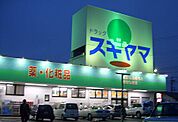 ドラッグスギヤマ 塩付通店（294m）