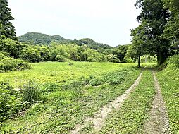 物件画像 山小川土地