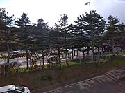 2階から見た金山PAの景観