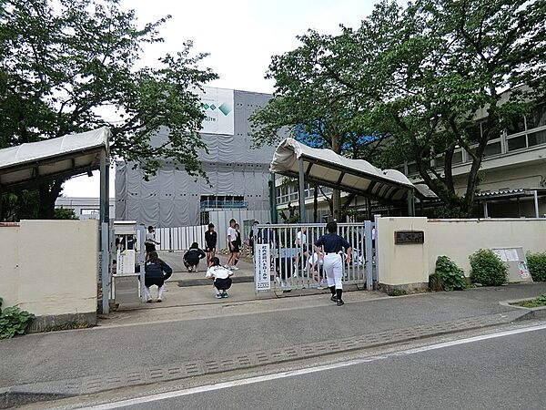 周辺を拡大表示