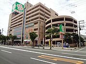 ライフ今里店（495m）