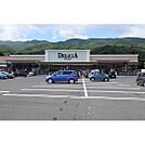 スーパー「デリシア宮川店まで902ｍ」
