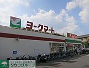 ヨークマート藤原店 徒歩10分。スーパー 730m
