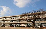 太子町立斑鳩小学校