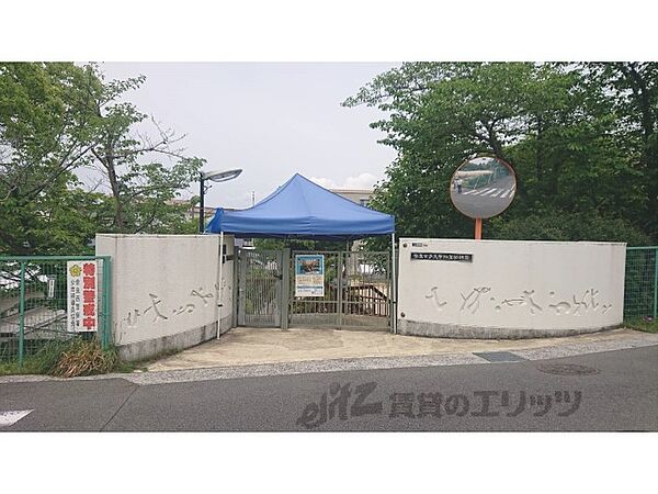 画像12:奈良女子大学附属幼稚園まで230メートル