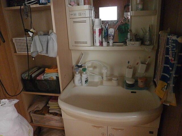 洗面 日向市大字塩見1262-3