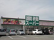業務スーパー 新高砂店（991m）
